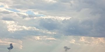 ������ �������: #������, ��������� � ����������� ����, ���������, ����� ����, ��� �� �������