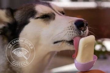 ��� ������ ��� �������� �� ���������