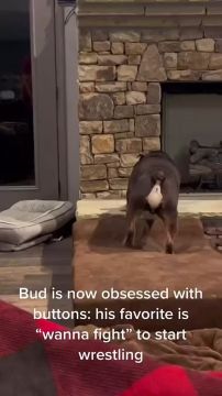 ���� ��� ����������. ������ �������� ��������� ������, ������� ����������: ������ ��������