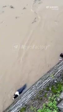 Отвлечёмся немного.... Драматичное, но вместе с тем милое видео из китайской провинции Хэбэй облетело мировые соцсети