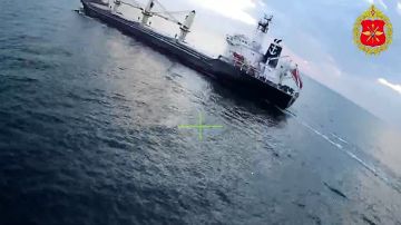 Удар дрона-камикадзе "Герань-2 сикер" по сухогрузу, следовавшему в порт Черноморск Одесской области