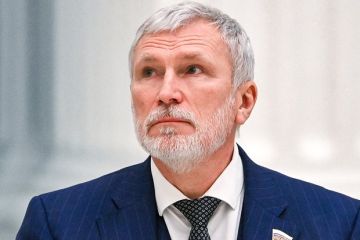 Депутат Журавлев: Двух недель достаточно, чтобы лишить Украину выхода к Черному морю