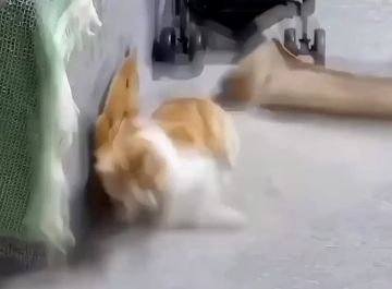 ��� ����� ���, ������� ��������� ������ �������, ����� ����������� �������������� ��������