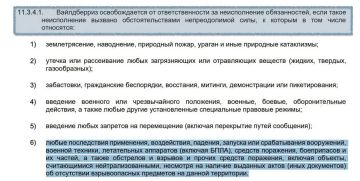 СМИ: Wildberries не будет компенсировать продавцам товары, поврежденные при атаках беспилотников