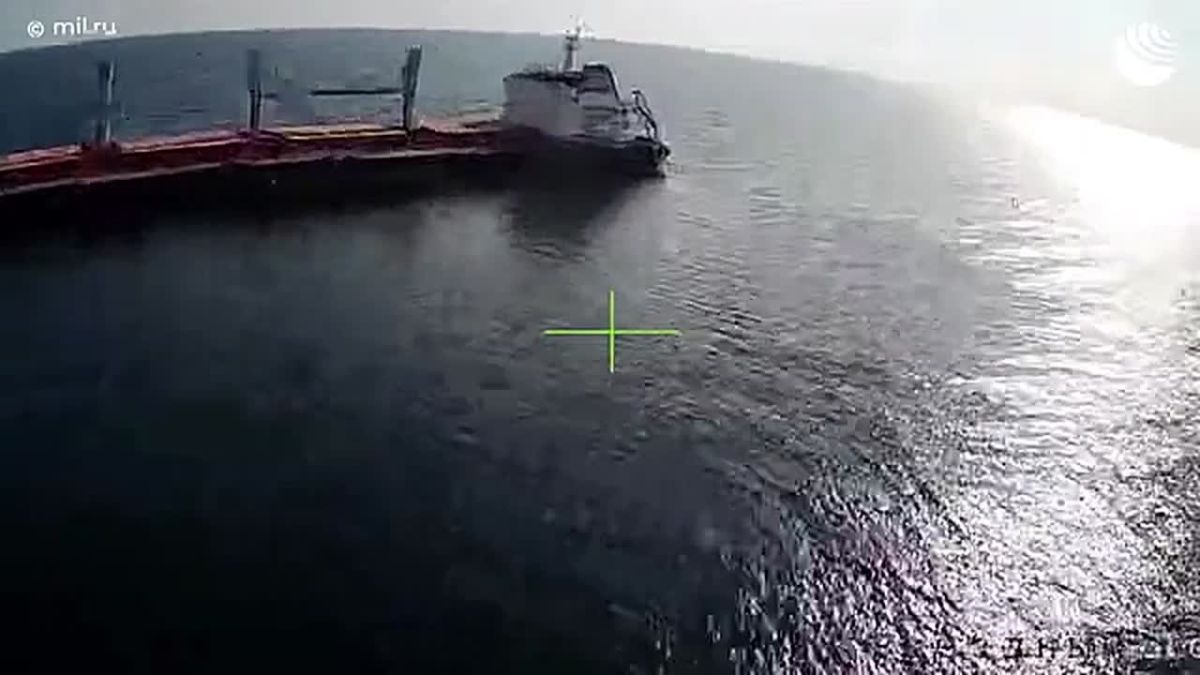Минобороны показало видео удара беспилотника «Герань-4 сикер» по балкеру на внешнем рейде порта «Одесса»