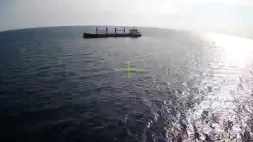 Минобороны показало кадры удара "Герань-4 Сикер" по кораблю с военным грузом в акватории порта Одессы