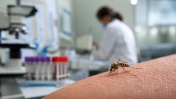 Работник стройки в Африке привез в Одесскую область малярию