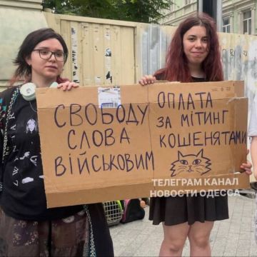 Картонные митинги в поддержку Фёдорова все ещё не утихли