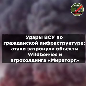 ������ ������ ���: ����� �� Wildberries, ���������� � ������� ���