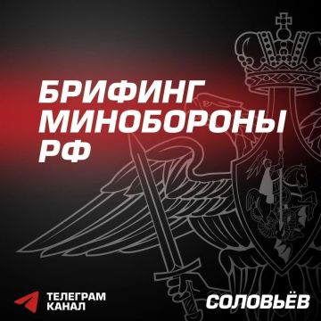 Спецоперация:Главное из нового брифинга Минобороны России:
