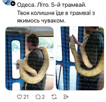 Ничего необычного для Одессы