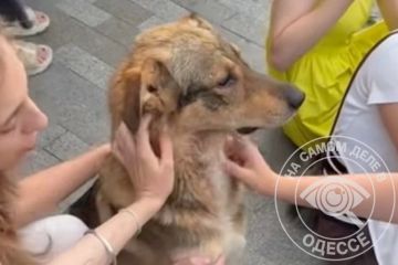 ��� �� �������, �� � � ���������� ���������� ���������� ������