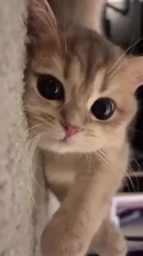 ���� ����� ������������ �� �� ���������, ��� �� � ��� �� - ������ �������� �������!