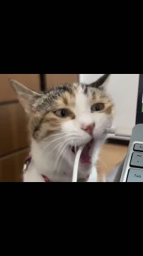 ��, � ��� � ����������� ������� � �����