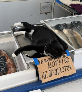� �� ������� ��������? ���, ������ ����������!