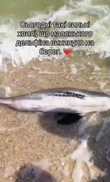 �������� �� ����� ������ �����������