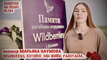 ������� �������: WILDBERRIES, �������, �� ����, ��������: