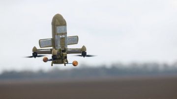 �� ������ �������� ��� ��������� � ������� ���������� ���������� �� ������