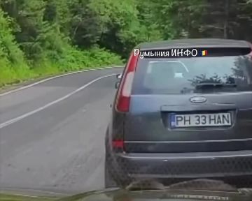Пора отложить гаджеты до завтра