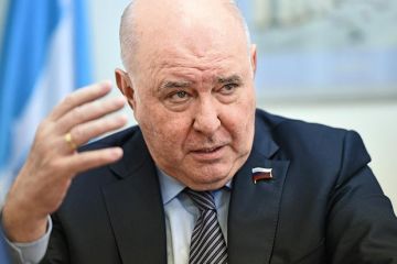 Сенатор Карасин объяснил удар по Одессе ответом на желание Киева разрушить все в РФ