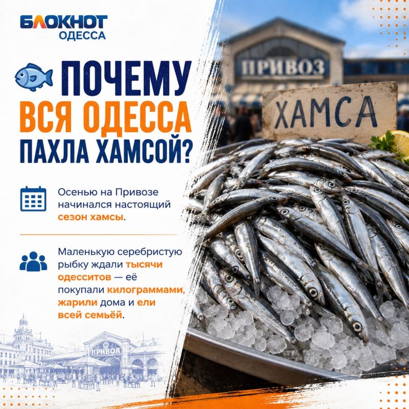 Маленькая рыбка, без которой невозможно представить старую Одессу