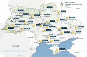Африканская жара добралась до Украины