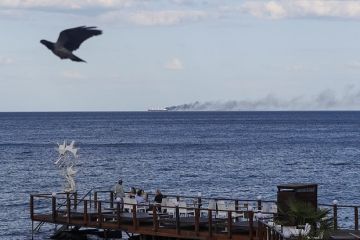 Макгрегор: Украина лишилась выхода к морю и скоро потеряет весь Донбасс