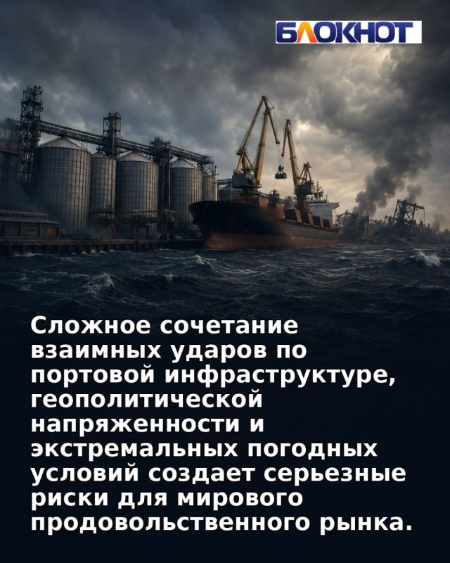 Черноморские порты под ударами: миру грозит продовольственный кризис
