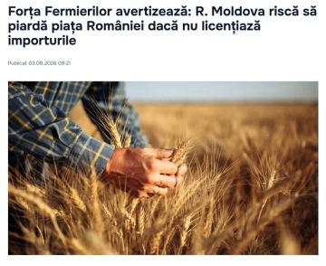 Молдавские фермеры потребовали от властей срочно ограничить импорт зерна с Украины