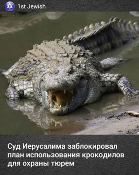 Рубрика: курьёзы (не)нашего городка
