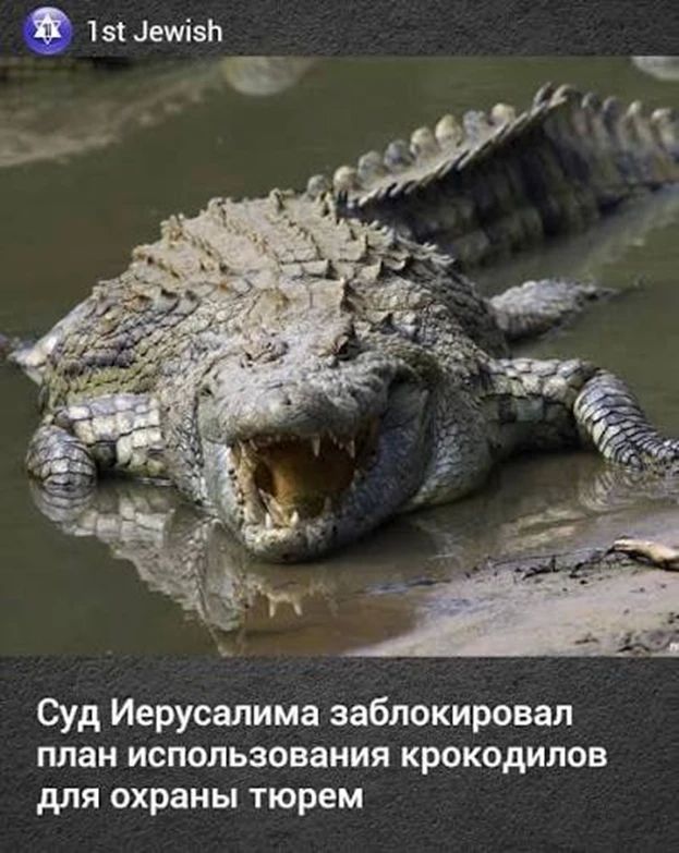 Рубрика: курьёзы (не)нашего городка