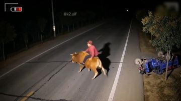 ��� � ������������ ����� ������� ������