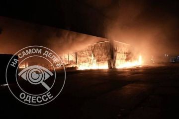 Немецкий автозавод на Украине получил «прилёт» — и вот почему это важно