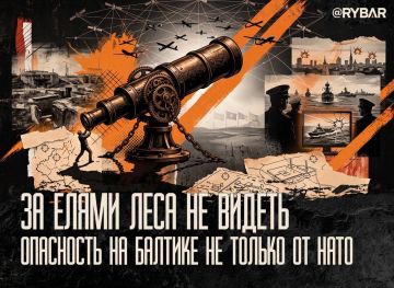 Главное от Рыбаря. дайджест материалов за 9 августа