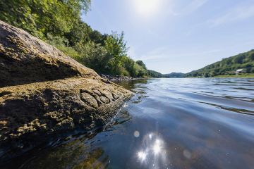 � �������� (�� ������� ��������) ������ ������� � ��������� ���, ��-�� ���� ���������� ��� ���������� ������ ������ � ����������� ������, ����� ������� ���� ��������� ����� �����