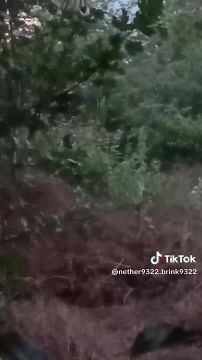 �� ����������:. �����������! ��������� �� ����� �� ���� ������� ������� �������� �������� ���