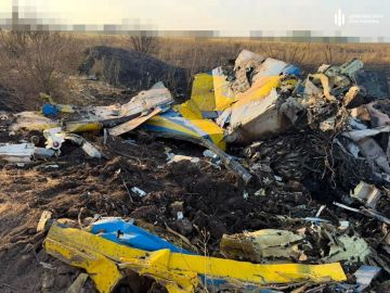 Вдребезги: Появились кадры места крушения украинского МиГ-29 в Одесской области