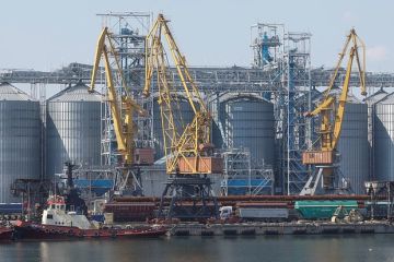 Депутат Колесник: Все идет к полному уничтожению порта Одессы