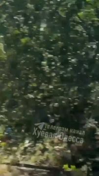 � ������ ������� ��������� ������