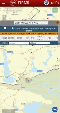 Тепловая метка на карте пожаров NASA FIRES подтверждает, что в Измаиле Одесской области горит местный порт
