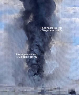 В Одессе наши птички успешно долетели до портов