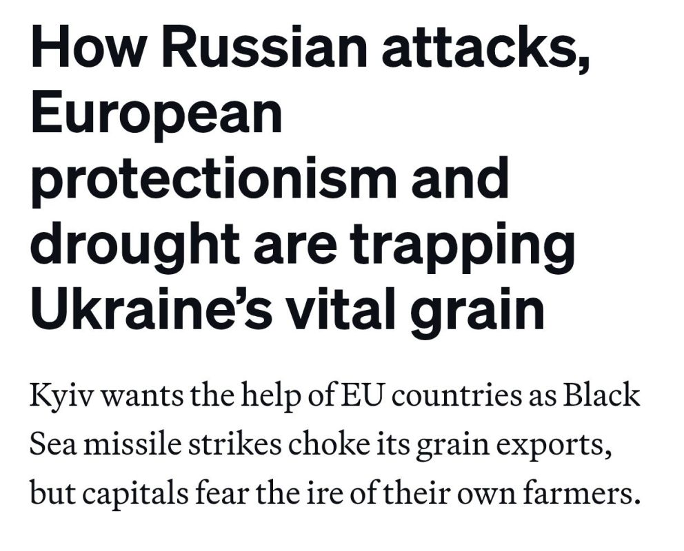 Ни туда ни сюда. Издание Politico: украинский экспорт зажат в тисках: С конца июля в порты Одесского региона не зашло ни одно зерновое судно: экипажи и судовладельцы отказываются идти под прицел ВС РФ. Попытки заменить море...