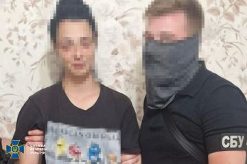 СБУ задержала женщину, которая готовила серию терактов возле админзданий в Одесской области