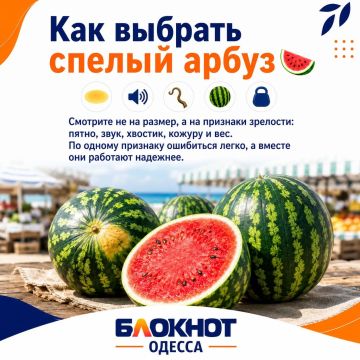Одесситы, ну шо, уже пробовали первый арбуз или пока только присматриваетесь?