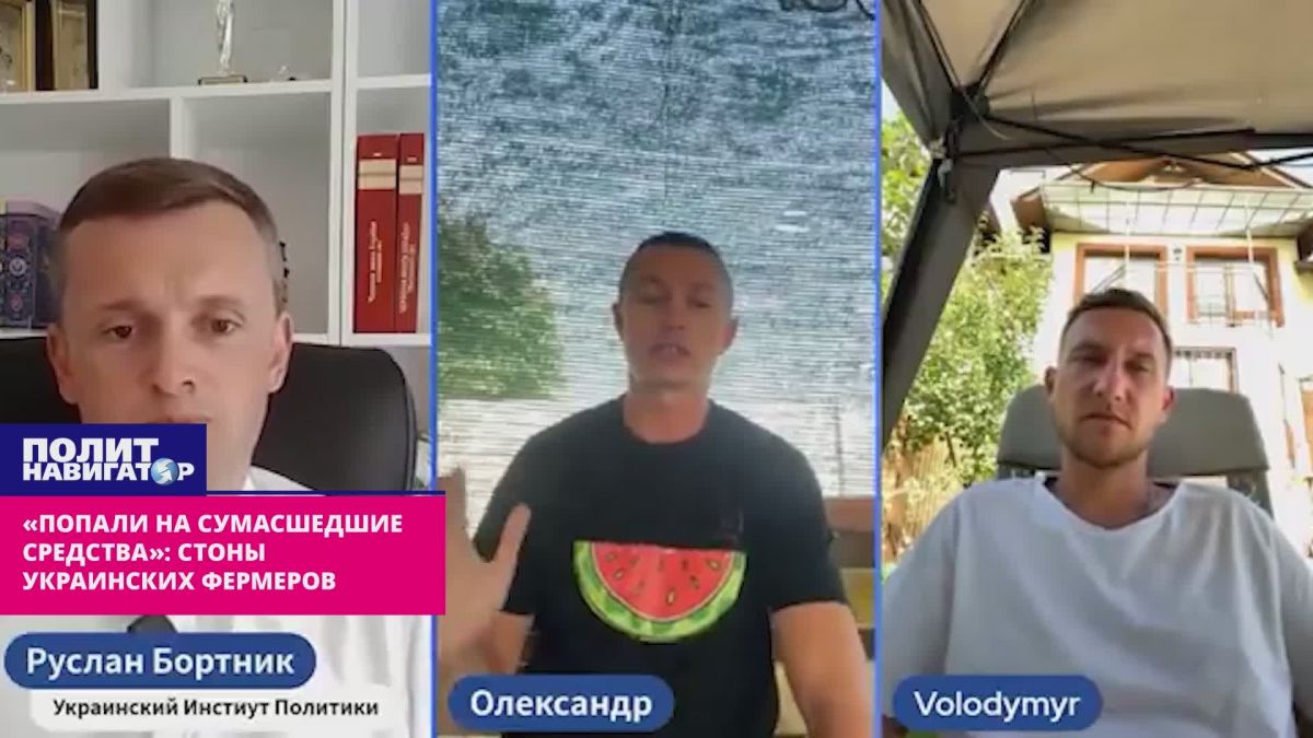 «Попали на сумасшедшие средства»: стоны украинских фермеров