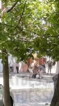 Как кого?. Как собаку или сбежавшего хомяка? Помойка