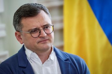 Экс-глава МИД Кулеба предрек Украине большие сложности в экономике