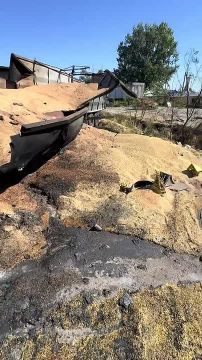 ������ �������: ������������ �������� ������� ���������� ���� � ������ � ������ �.�. ������� ������������ ������ �������� �������