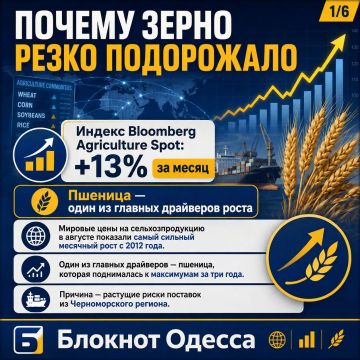 ������ ����� ������� ������ ��������� ��������: ������� ���� ������� �� 13%