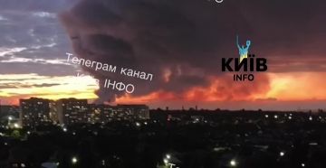 ���� ����: �� �� ����� ������� ����� �� ������� �������� � 8 �������� �������